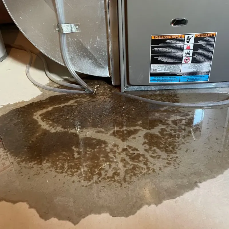 Pipe Burst and Leak Restoration in Narragansett Pier, RI
